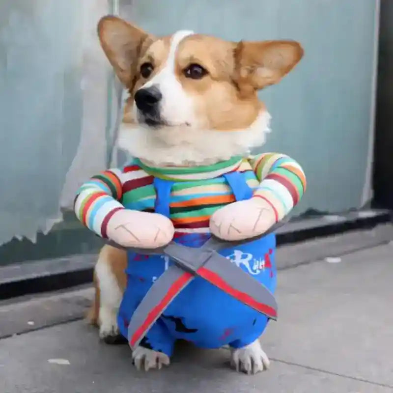 Costume Chucky per Cani e Gatti - Halloween Spaventoso by null