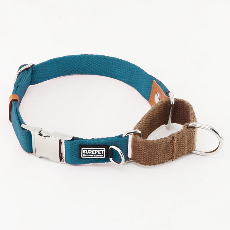 Collare Cane Canvas Targhetta ID Anti-Smarrimento