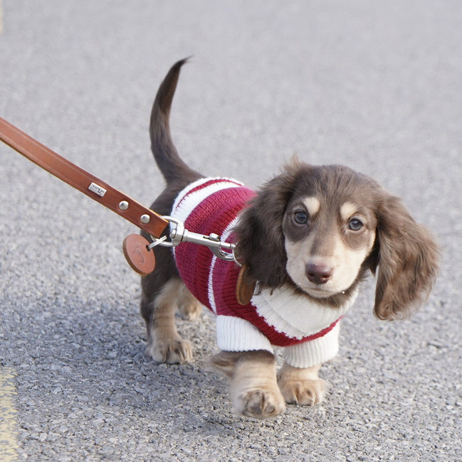 Maglioncino a Righe Bianche e Rosse per Cani – Adatto al Bassotto e Non Solo