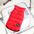 Dadagou "Smile" Coat for Poodle with Integrated Harness