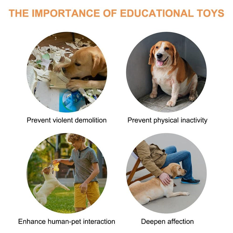 4 Colors Pet Communication Button One-click Prevent Physical Inactivity Recordable Dog Talking Button Toy Cat Toy Pet Products by Dog Moda