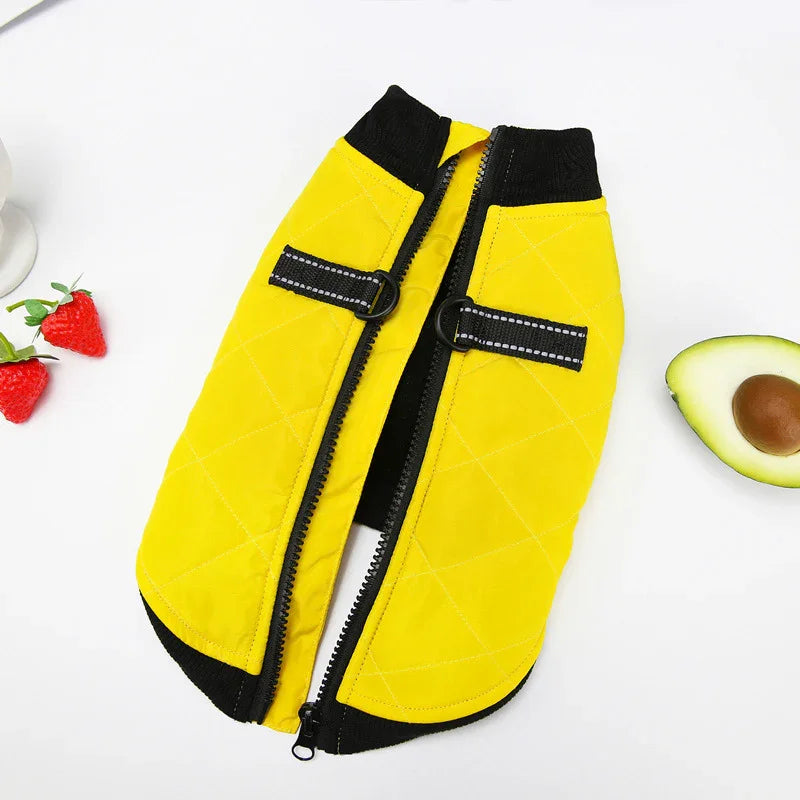 Dot Dog Coat - Back Closure and Leash Ring