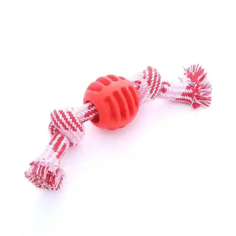 Corda con Pallina Cani - Gioco Masticazione Resistente by Dog Moda