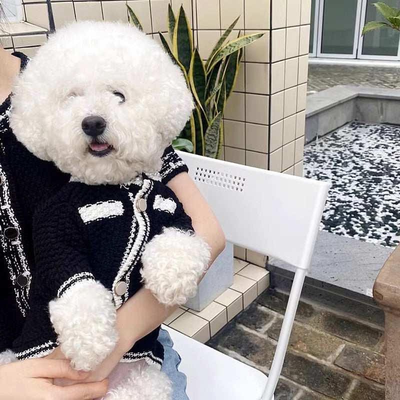 Dog sweater "Paradise" in bright patterns for little friends