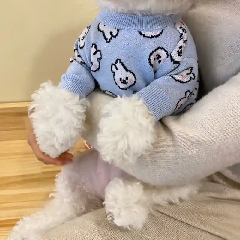Maglione per Cani Piccoli - Morbido e Caldo con Pattern by Dog Moda