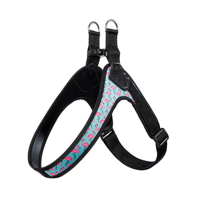 FLY Harness mit Schnellverschluss und verstellbarer Brust – Stunt Puppy