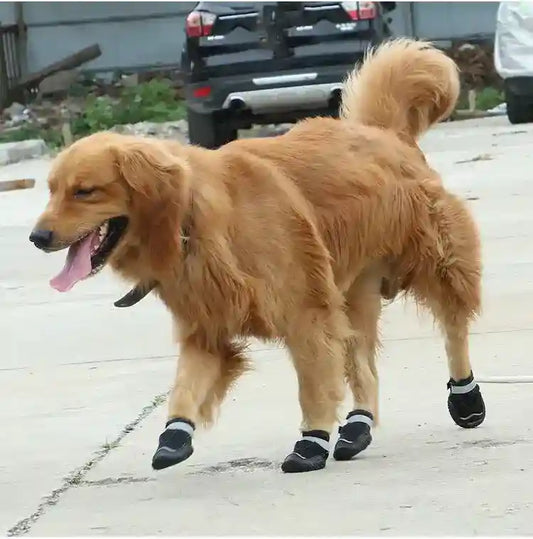 Scarpe per Cani Traspiranti - Antiscivolo Riflettenti by Dog Moda
