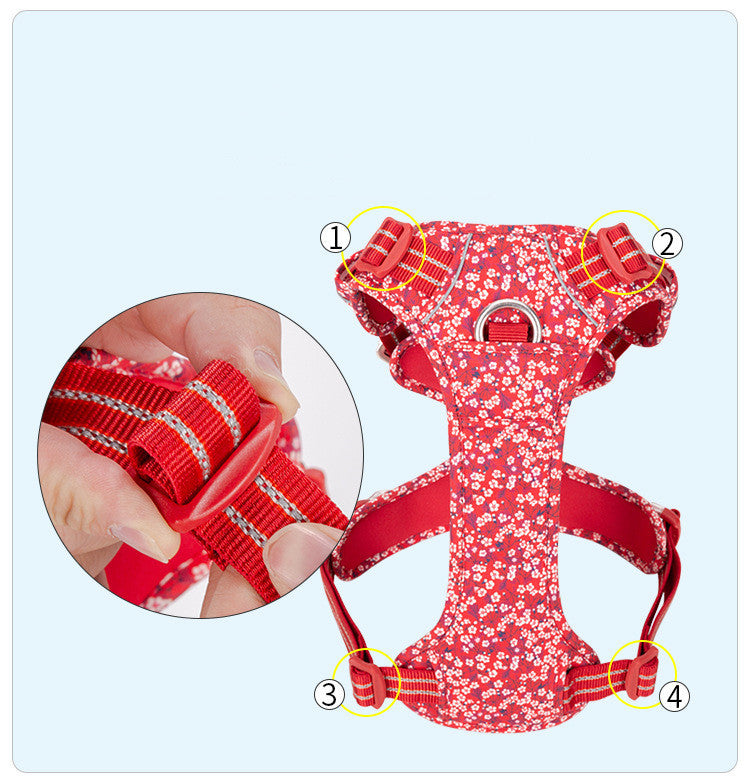 Complete set of adjustable dog leash and harness "TrueLove"