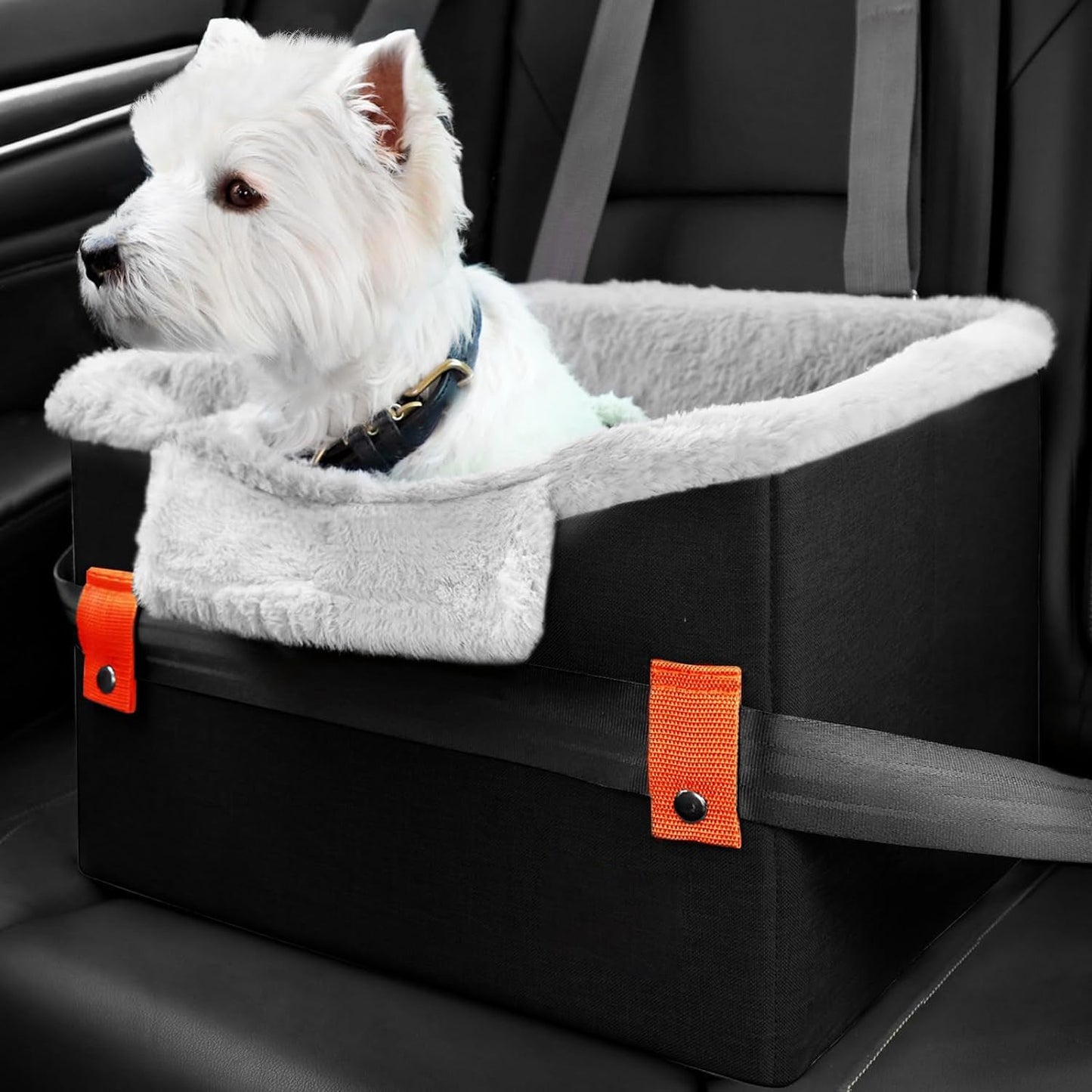 Dog Car Seat “Comfy Ride” per Cani Fino a 11kg – Sicurezza e Comfort in Viaggio! - Dog Moda