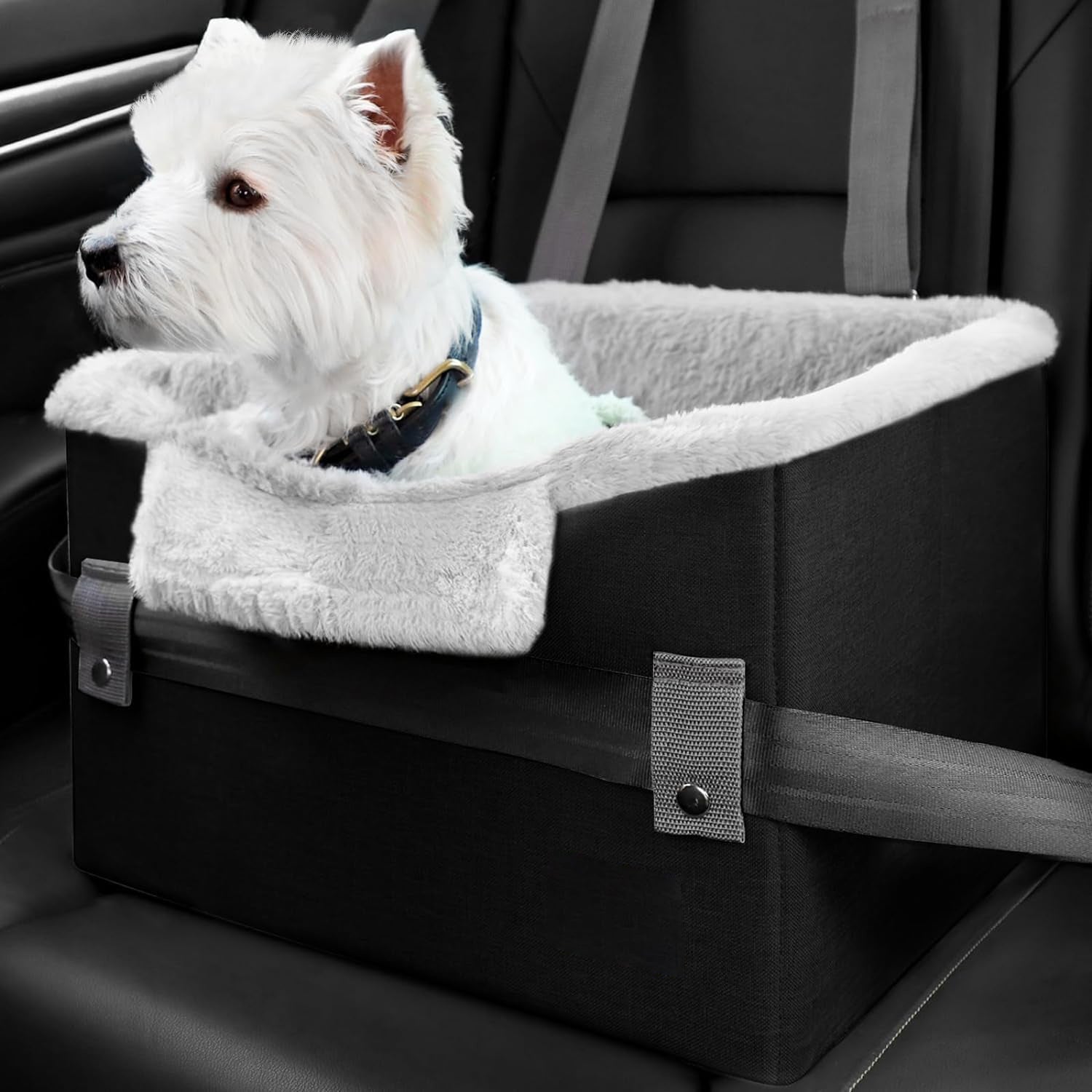 Dog Car Seat “Comfy Ride” per Cani Fino a 11kg – Sicurezza e Comfort in Viaggio! - Dog Moda