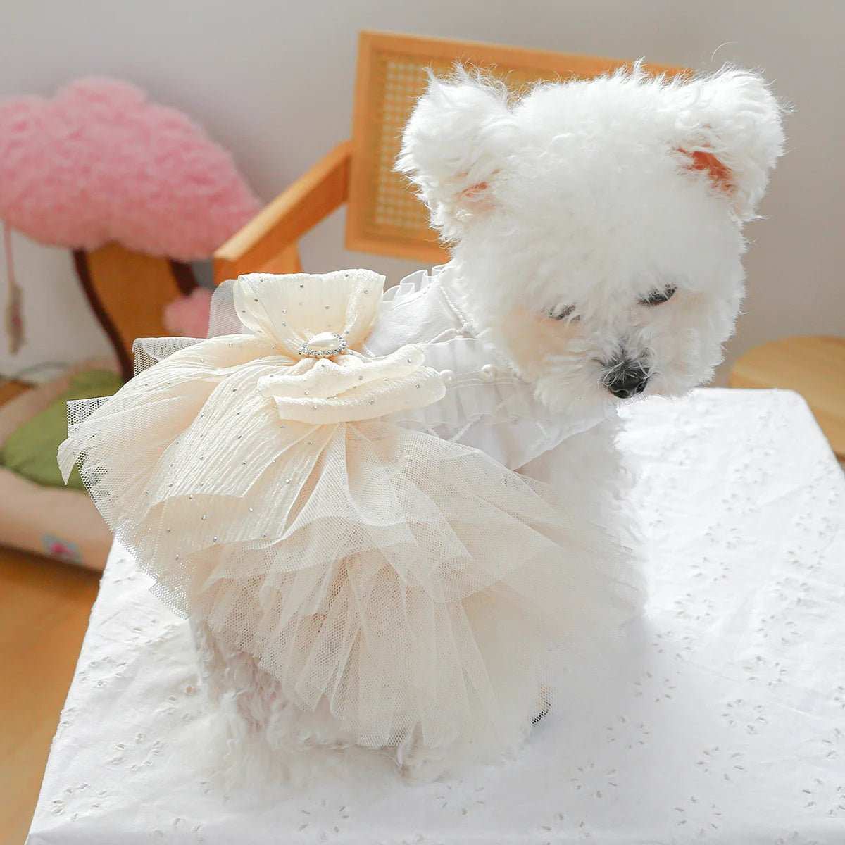 Dog Clothing Tulle Tutu Skirt Chest And Back High - end Wedding Dress - Dog Moda