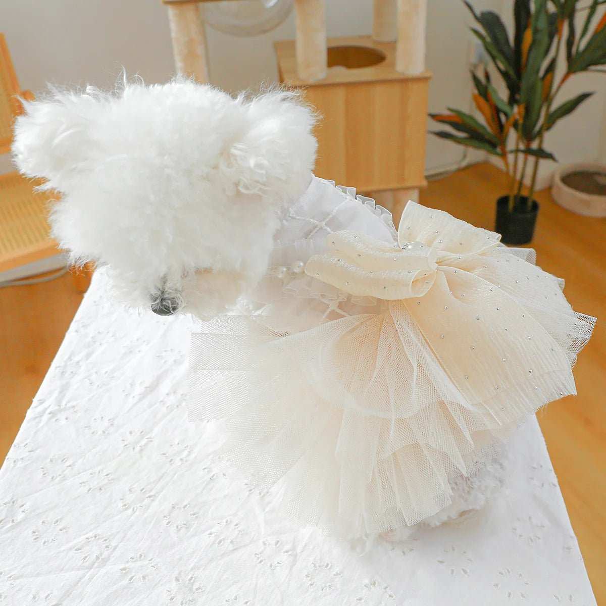 Dog Clothing Tulle Tutu Skirt Chest And Back High - end Wedding Dress - Dog Moda