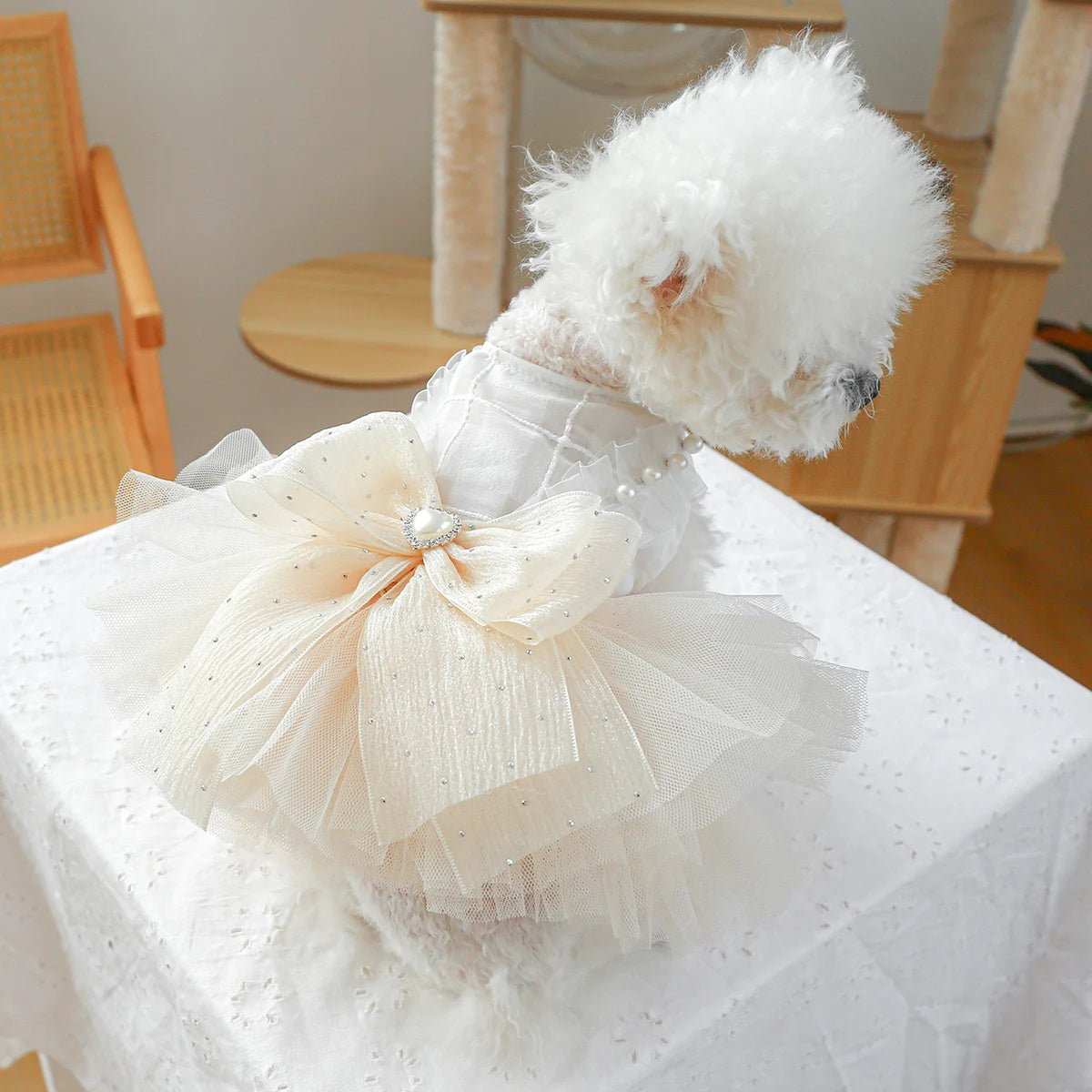 Dog Clothing Tulle Tutu Skirt Chest And Back High - end Wedding Dress - Dog Moda