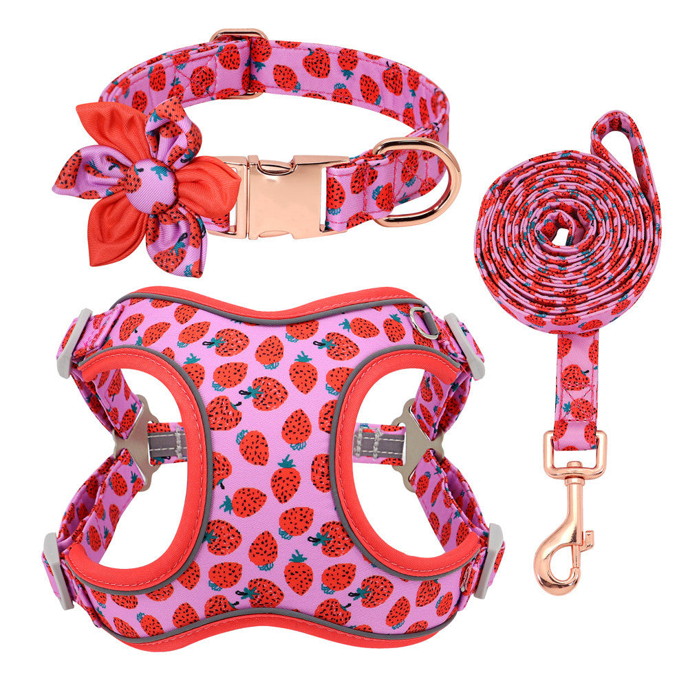 Hundegeschirr "Summer" Komplettset mit Halsband - Cheepet
