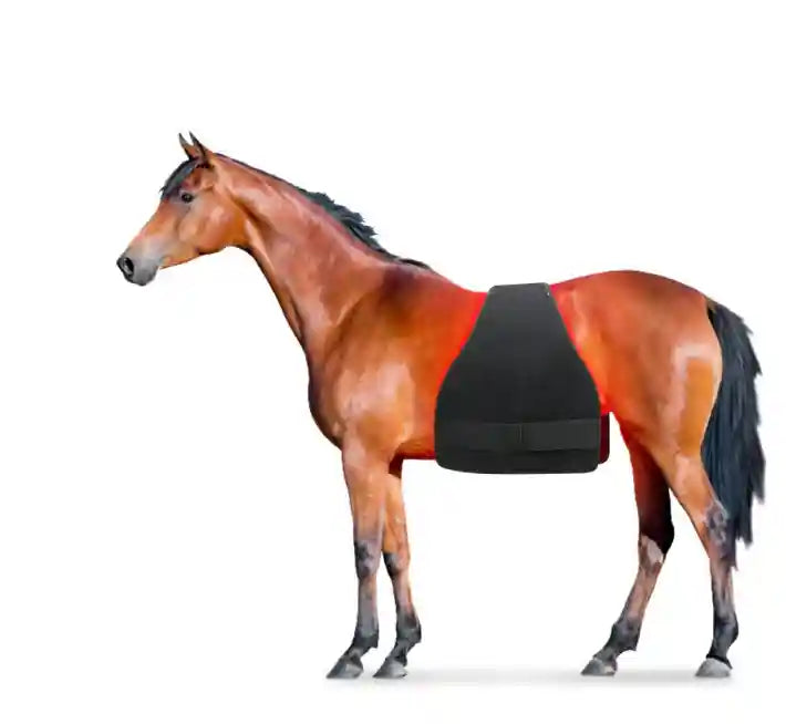 Tappetino Fisioterapia Luce Rossa per Cavalli - 228W by Dog Moda