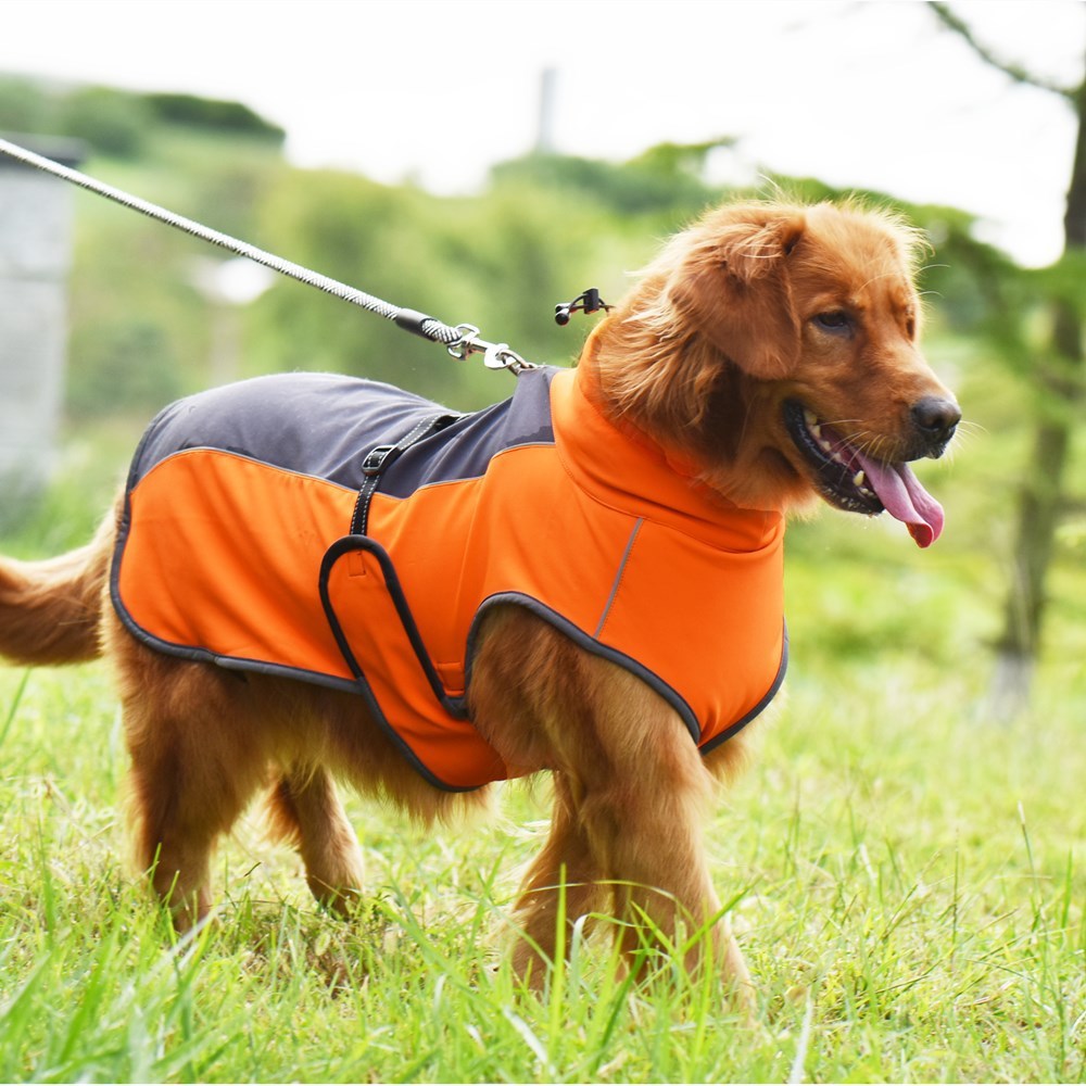"Nexus" technical fabric banded dog raincoat