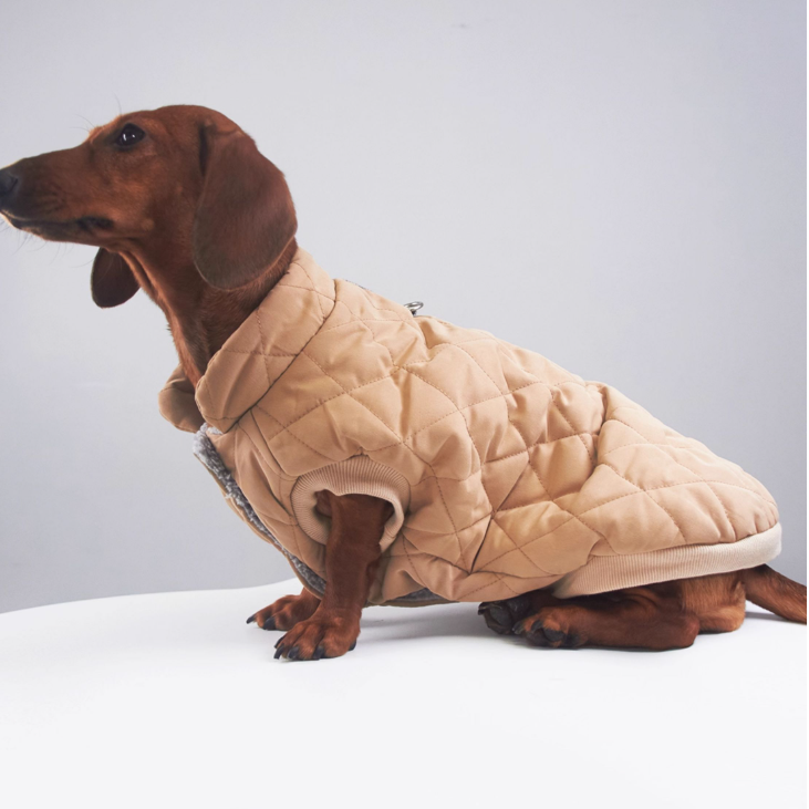 Sweet Dachshund Coat Quilted Diamond Padded Fleece