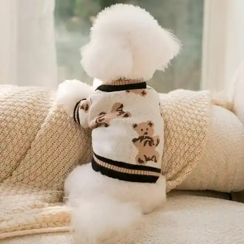 Maglione Cani Gatti Orsetto - Caldo Leggero Autunno by Dog Moda