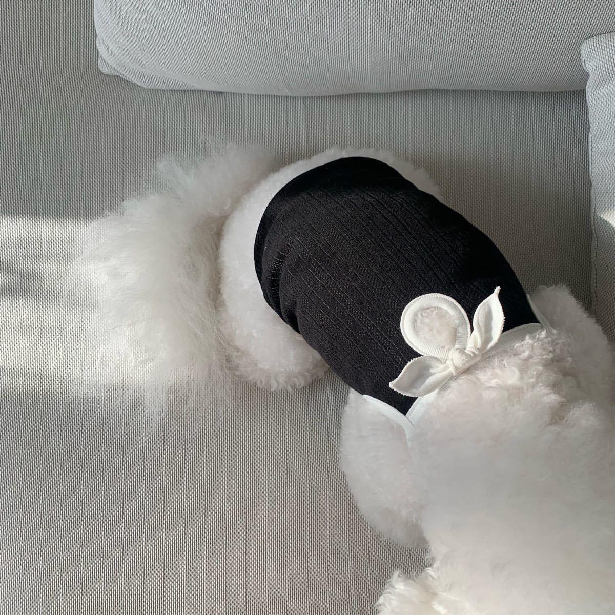 Dog Vest with Bow - Stylish and Comfortable