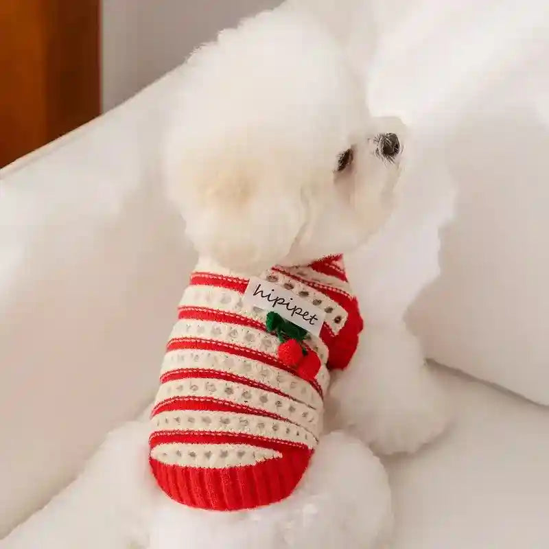Maglione Cani Gatti Ciliegie - Pullover Caldo Invernale by Dog Moda