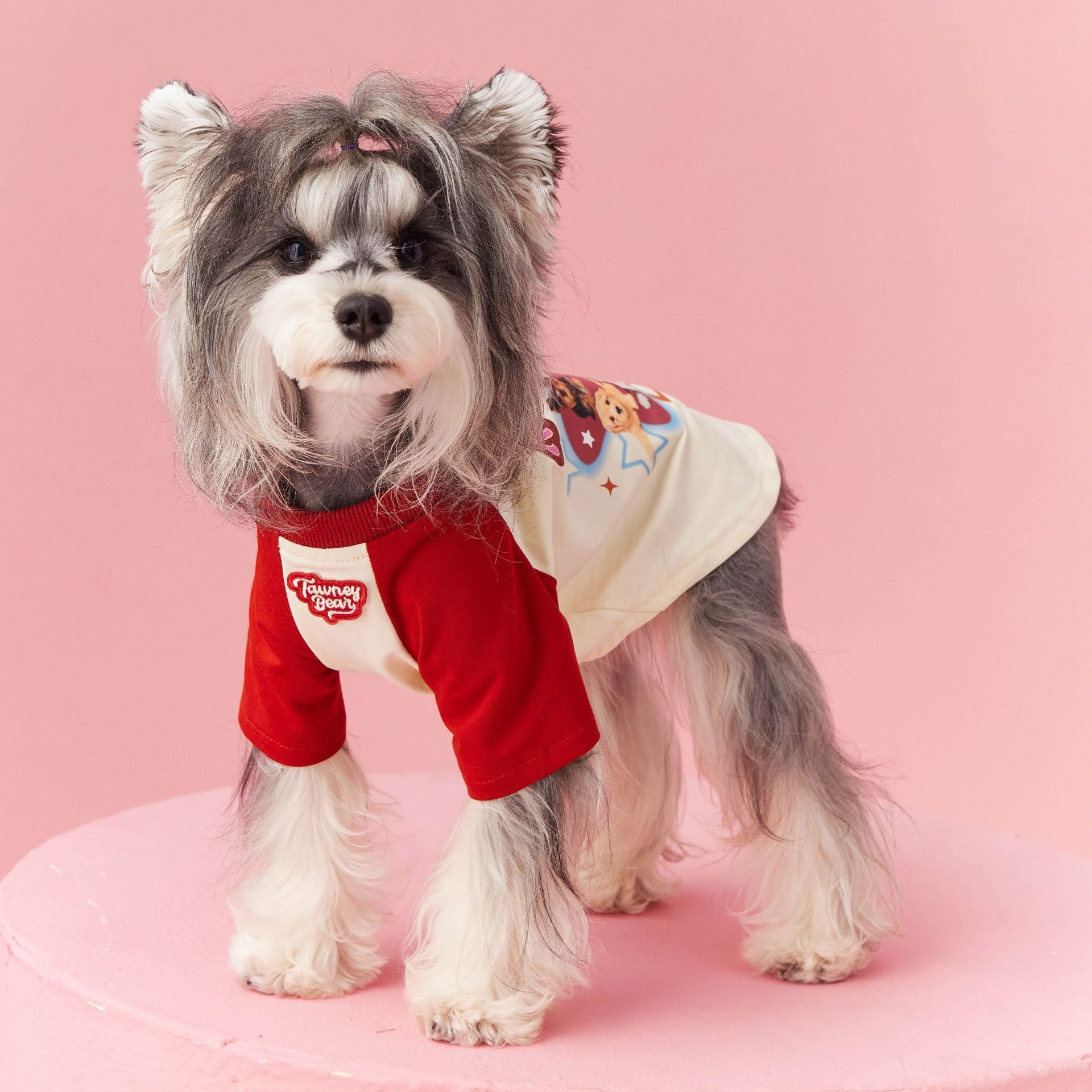 Maglietta a Maniche Lunghe per Cani di Piccola Taglia Modello "Towney Bear" – Stile e Comfort per il Tuo Cucciolo