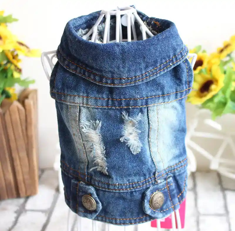Giacca Jeans per Cani - Cappotto Denim Impermeabile by Dog Moda
