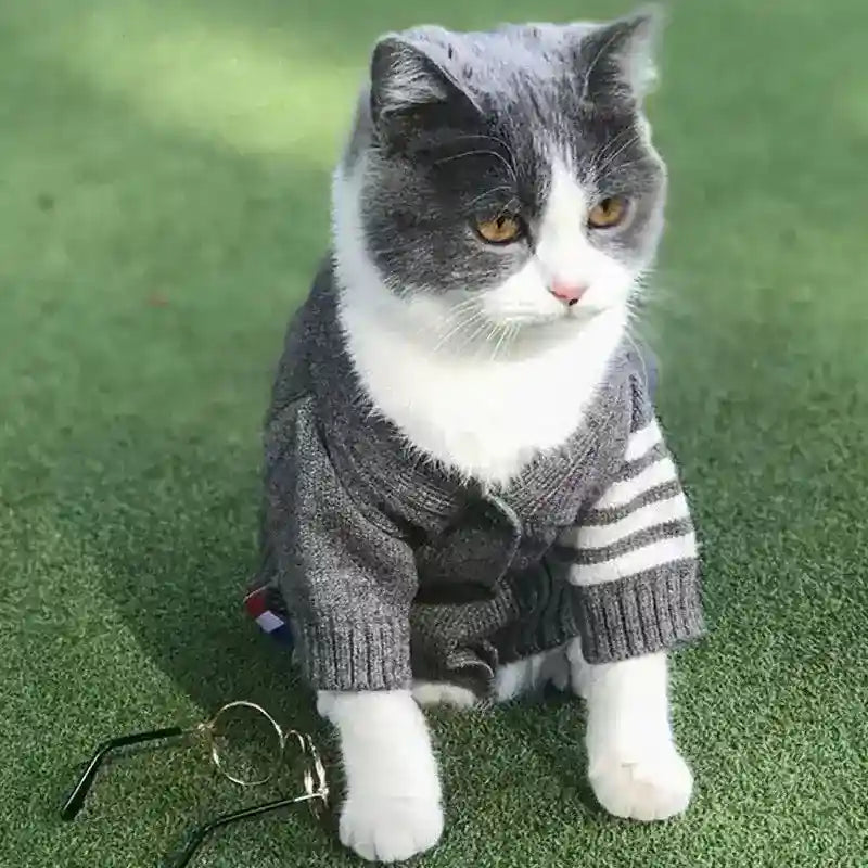 ドライフィット犬用セーター - グレー ストレッチフィット