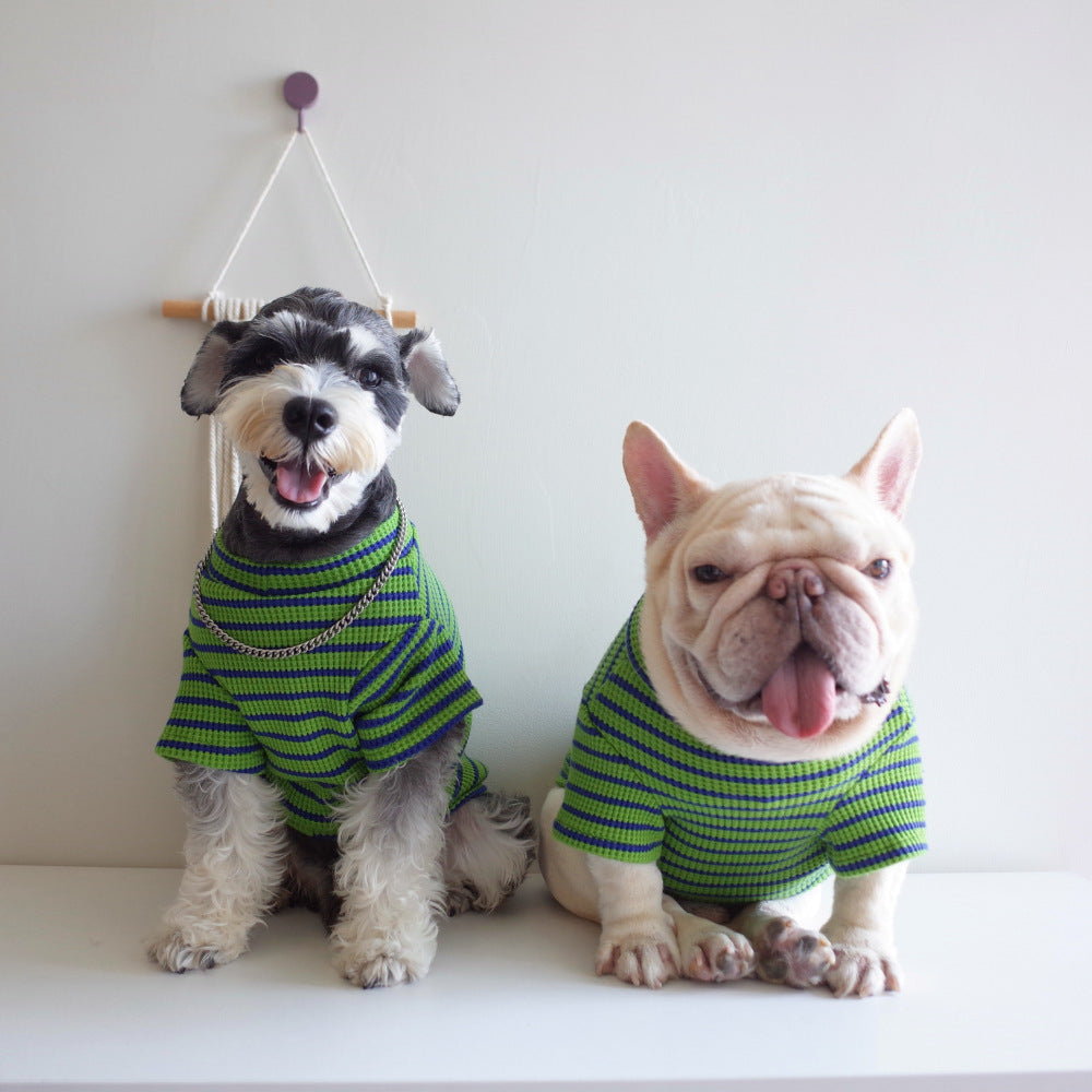 Green and Blue Striped Cotton Dog T-Shirt "New Fashion"