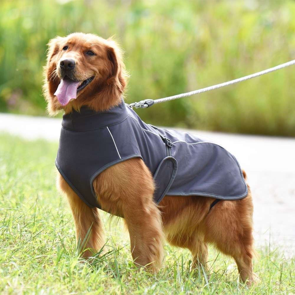 "Nexus" technical fabric banded dog raincoat