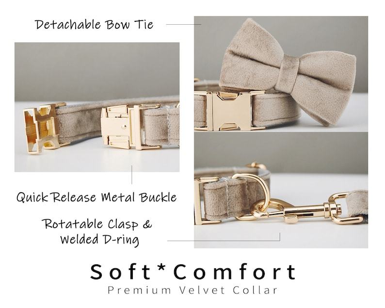Personalisiertes Hundehalsband mit Namen und Nummer – Weicher Stoff