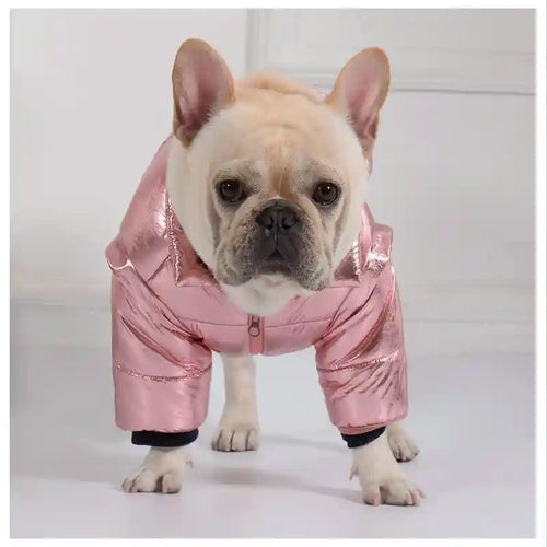 Waterproof Dog Coat for Bulldogs with Zip - Padded