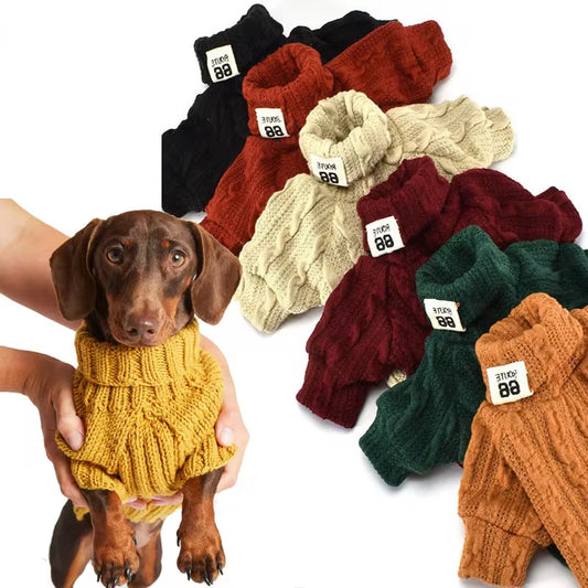 Maglione intrecciato modello "Warm" per cani di piccola taglia