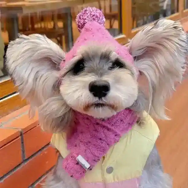 犬用帽子とマフラーセット - 小型犬用ウール冬用