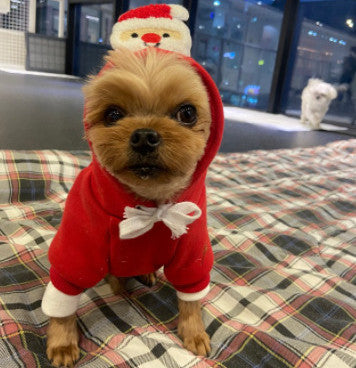 Vestito Natale per Cani con Cappuccio | Babbo Natale e Albero