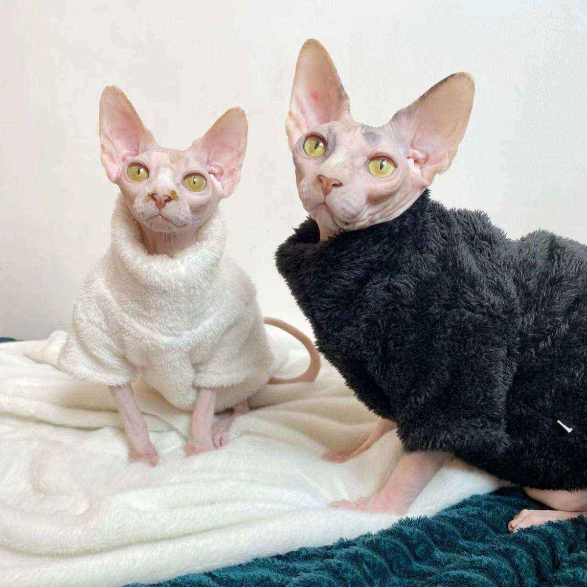 Pile Invernale per Gatti – Giacca Calda in Peluche Bianco o Nero