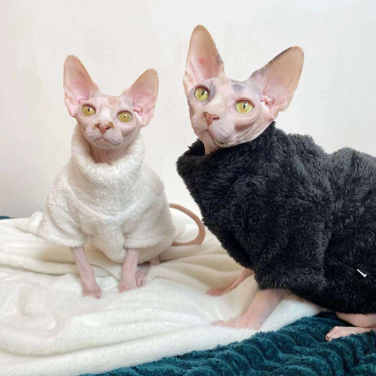 Pile Invernale per Gatti – Giacca Calda in Peluche Bianco o Nero
