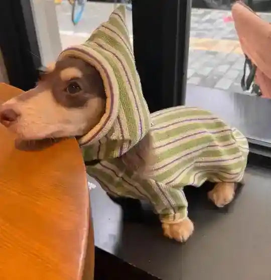 犬用グリーンストライプパッド入りフリース - フード付き