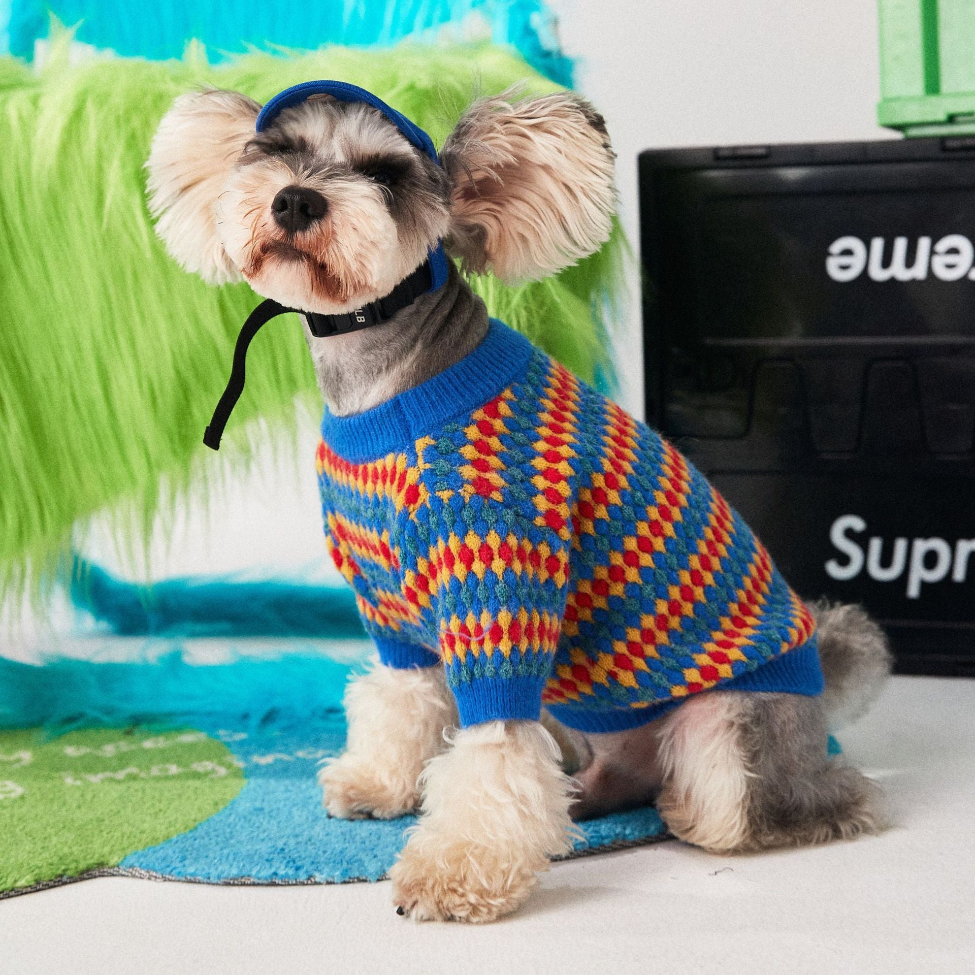 Pamplona Dog Sweater | Bright Colors and Yellow, Red and Blue Diamonds