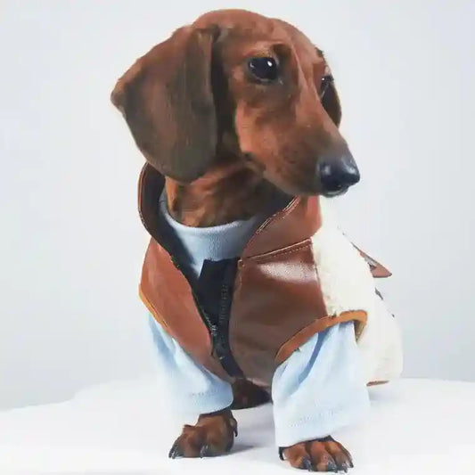 Cappotto Bassotto Cashmere Pile Agnello con Zip Torace by Dog Moda