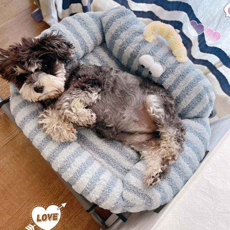 Katzenhaus mit verschiedenen Themen – Baum, Sofa und Kätzchen