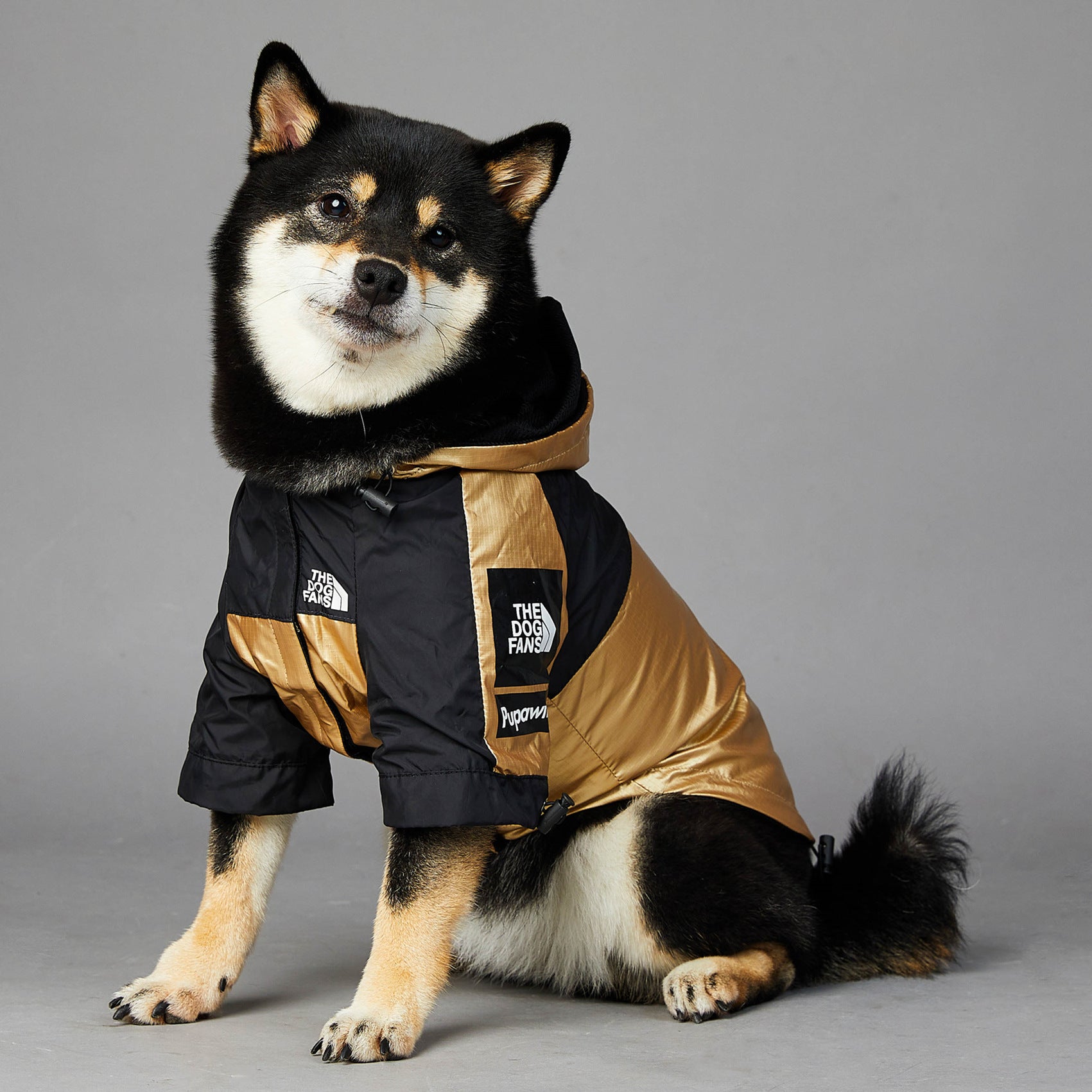 Impermeabile "Gold & Black" by Dog Fans - Eleganza e Funzionalità per il Tuo Cane - Dog Moda