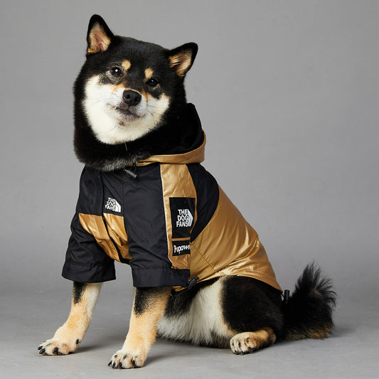 Impermeabile "Gold & Black" by Dog Fans - Eleganza e Funzionalità per il Tuo Cane