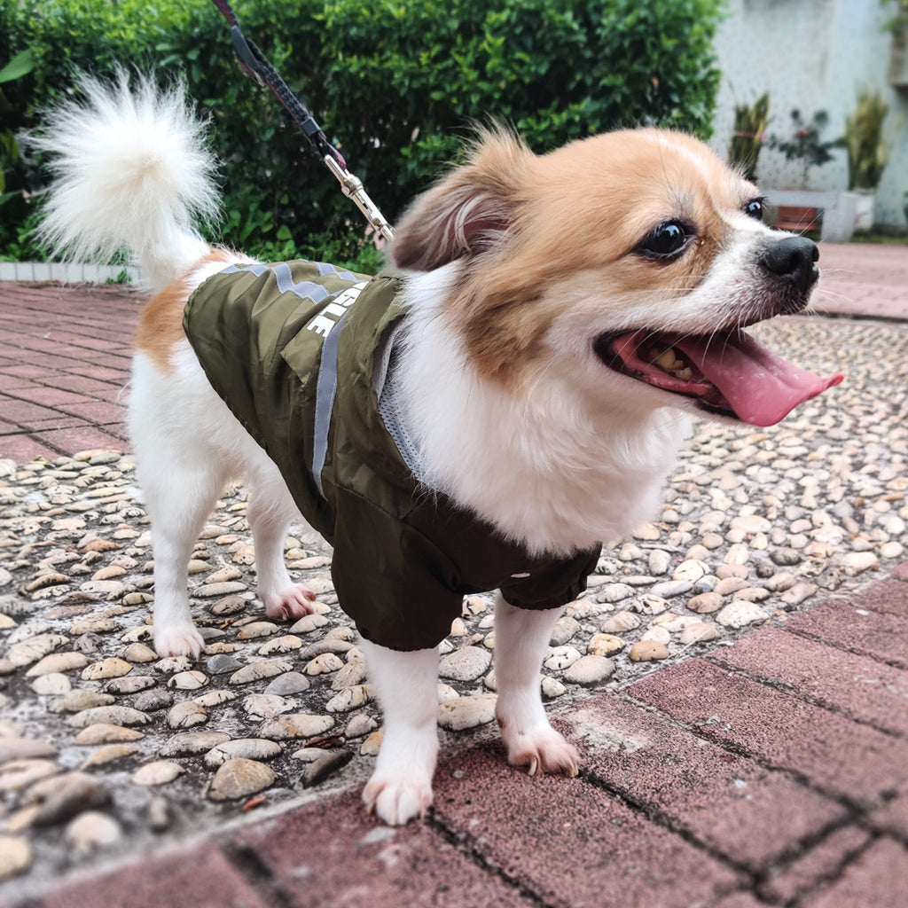 Impermeabile per Cani Modello Struggle con Chiusura a Bottoni e Strisce Riflettenti - Dog Moda