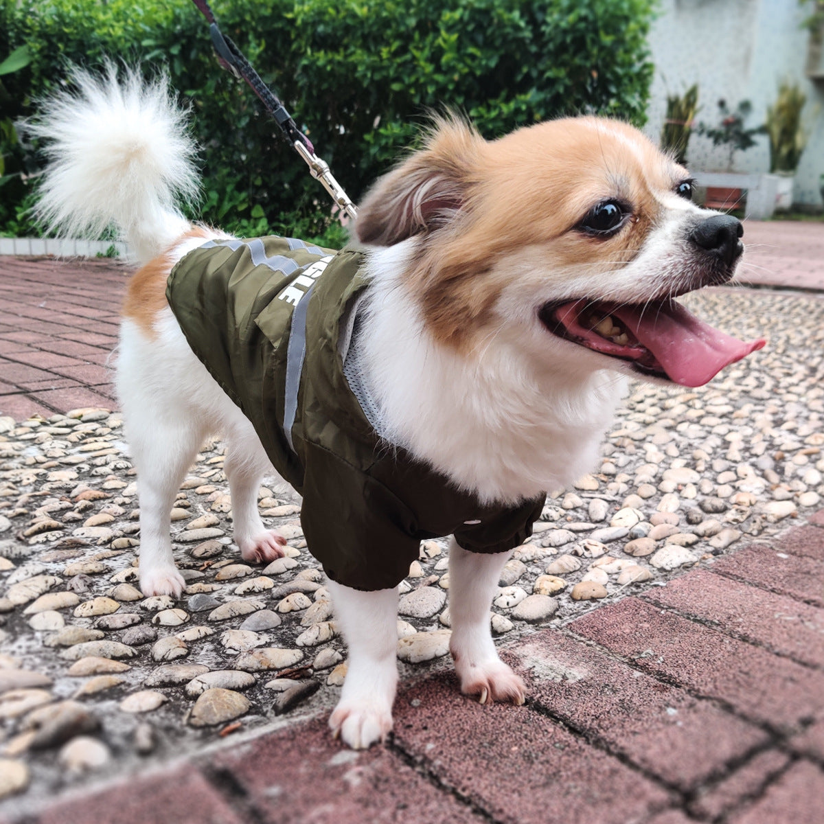 Impermeabile per Cani Modello Struggle con Chiusura a Bottoni e Strisce Riflettenti - Dog Moda