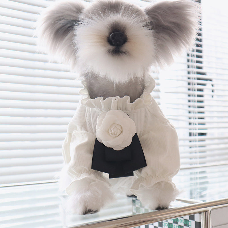 Maglia per Cani Camellia con Fiocchetto | T-shirt Princess Bianca