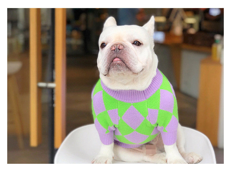 Maglione a Quadri Verdi e Porpora per Bulldog - Dog Moda