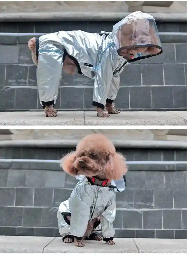Impermeabile per Cani Argentato con Visiera | Pioggia 4 Zampe by Dog Moda