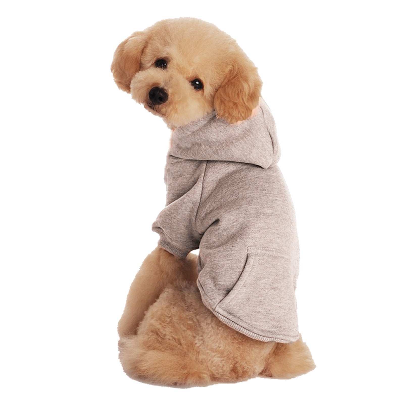 Basic Hooded Cat Sweater with Pocket