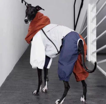 Neptune 4-Legged Dog Raincoat - Windproof Raincoat