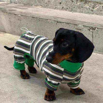 Tuta Bassotto a Righe per Cani - 4 Zampe con Coulisse by Dog Moda